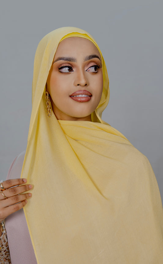 Modal Set -Lemon Mist